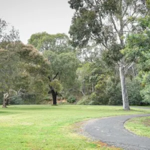 Public Tree Management Policy Review