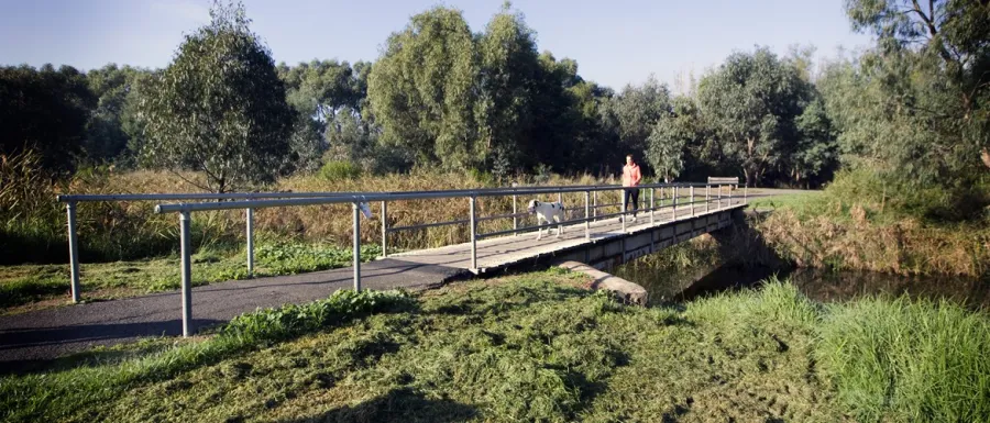 A walk bridge that crosses the Barwon river A walk bridge that crosses the Barwon river