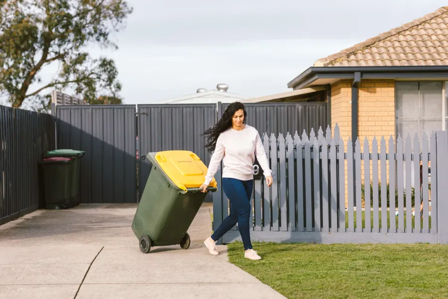 Bin recycling right? Update your recycling knowledge Image for Bin services