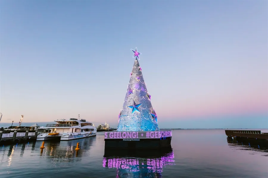 Floating Christmas tree Floating Christmas tree