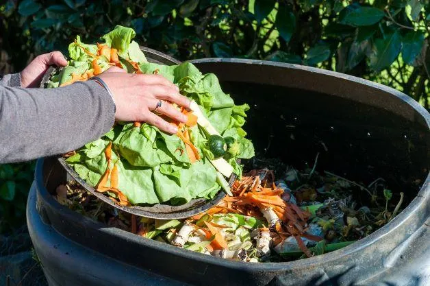 Compost bin Compost bin