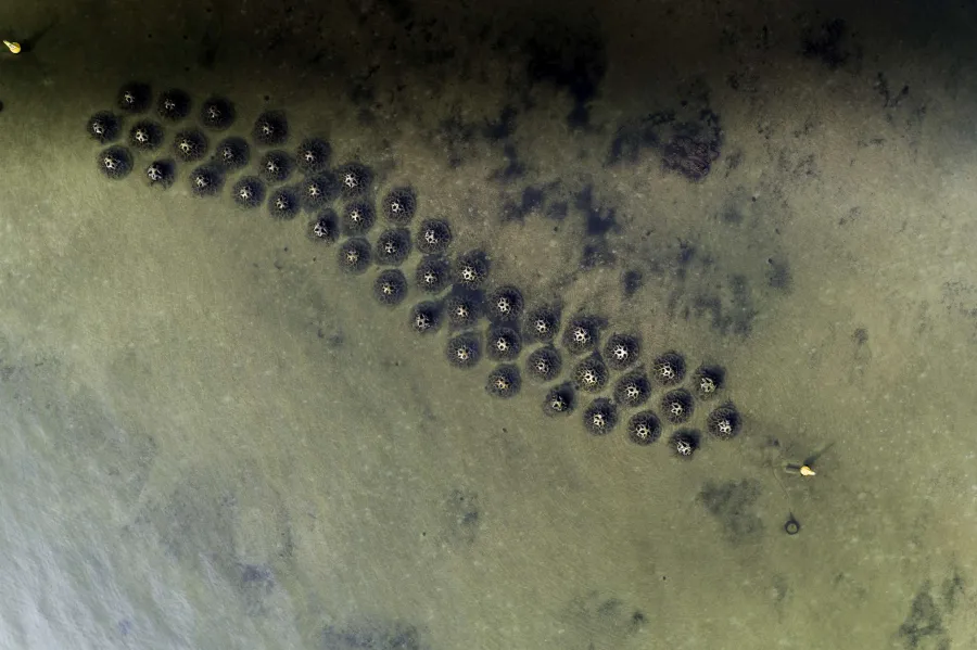 638949206825602563_570x400.jpg