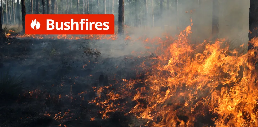 bushfires bushfires