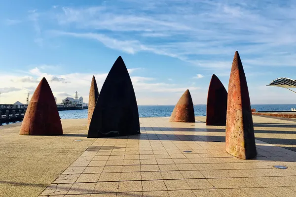 Geelong waterfront fins Geelong waterfront fins
