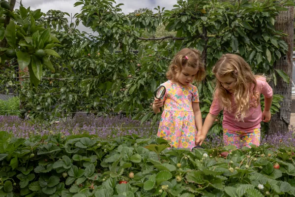 Outdoor activities at the Geelong Botanic Gardens. Two children looking at plants at the Geelong Botanic Gardens.