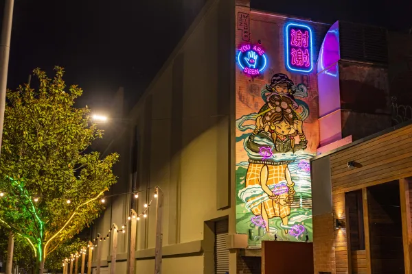'Migrant, Mother, Sister' - by Artist Jasmine Miu known as Jaz Mishap Union St, Geelong (back of Regent Theatre)