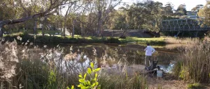 The Barwon river at Highton The Barwon river at Highton