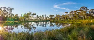 The stormwater catchment pond in Eastern Gardens The stormwater catchment pond in Eastern Gardens