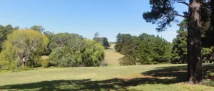 Edsall Reserve Edsall Reserve