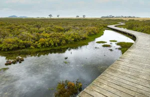 Hovells Creek Trail takes you from Limeburners Point in Corio through to the township of Lara. Hovells Creek Trail takes you from Limeburners Point in Corio through to the township of Lara.