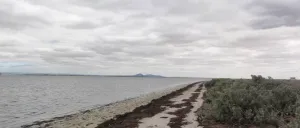 Point Henry Foreshore Reserve Point Henry Foreshore Reserve