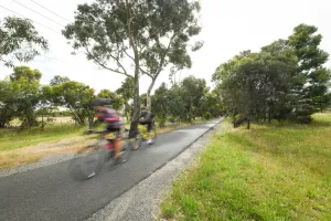 Bellarine_Rail Trail.jpg Cyclists riding on Bellarine Rail Trail in Leopold.