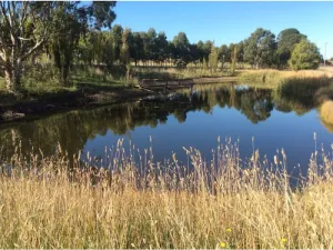 Moorabool Moorabool