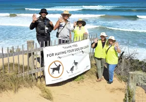 Environment Ranger Aldrin Woods with Friends of the Hooded Plover at Buckley Foreshore Reserve. Environment Ranger Aldrin Woods with Friends of the Hooded Plover at Buckley Foreshore Reserve.