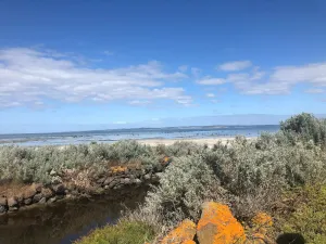Point Wilson Point Wilson