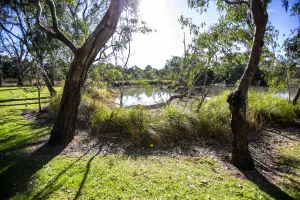 Greener future taking shape through City's environmental action Greener future taking shape through City's environmental action